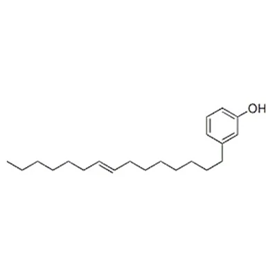 Cashew, nötskalsvätska, glycidyletrar
